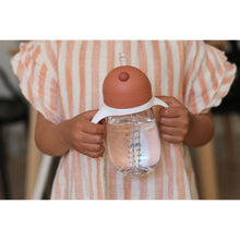 Load image into Gallery viewer, Beaba Straw Cup 300ml - Terracotta