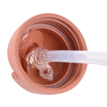 Load image into Gallery viewer, Beaba Straw Cup 300ml - Terracotta