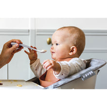 Load image into Gallery viewer, Beaba 1st Stage Silicone Spoons 2 Pack - Misty Green/Pebble