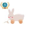 Bubble Wooden Rabbit Pull Along