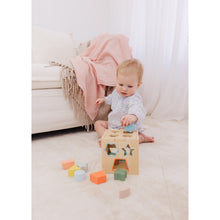 Load image into Gallery viewer, Bubble Wooden Shape Sorting Cube