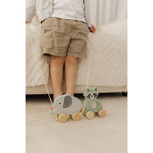 Load image into Gallery viewer, Bubble Wooden Raccoon Pull Along Toy