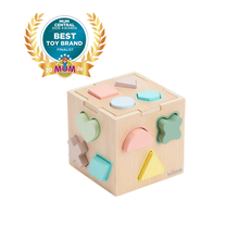 Load image into Gallery viewer, Bubble Wooden Shape Sorting Cube