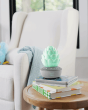 Load image into Gallery viewer, Skip Hop Terra Cry-Activated Soother