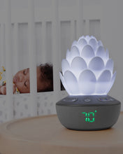 Load image into Gallery viewer, Skip Hop Terra Cry-Activated Soother