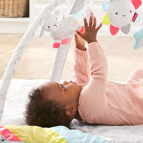 Skip Hop Activity Gym