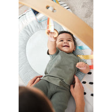 Load image into Gallery viewer, Skip Hop Discoverosity Activity Gym
