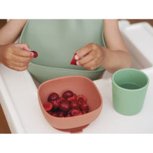 Load image into Gallery viewer, Beaba Silicone Suction Meal Set - Mineral