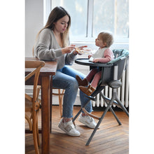 Load image into Gallery viewer, Beaba Up & Down High Chair Seat Cushion - Laurier