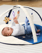Load image into Gallery viewer, Skip Hop Celestial Dreams Activity Gym