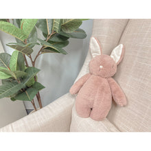 Load image into Gallery viewer, Bubble Lulabelle the Bunny