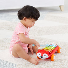 Load image into Gallery viewer, Skip Hop Explore & More Xylophone (2)
