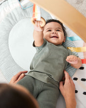 Load image into Gallery viewer, Skip Hop Discoverosity Deluxe Activity Gym