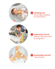 Load image into Gallery viewer, Skip Hop Discoverosity Deluxe Activity Gym