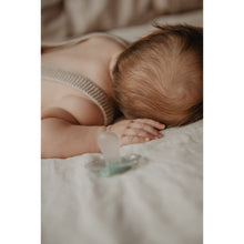 Load image into Gallery viewer, Suavinex Premium Soother with SX Pro Silicone Anatomical Teat 18M+ - Bonhomia Feather Green
