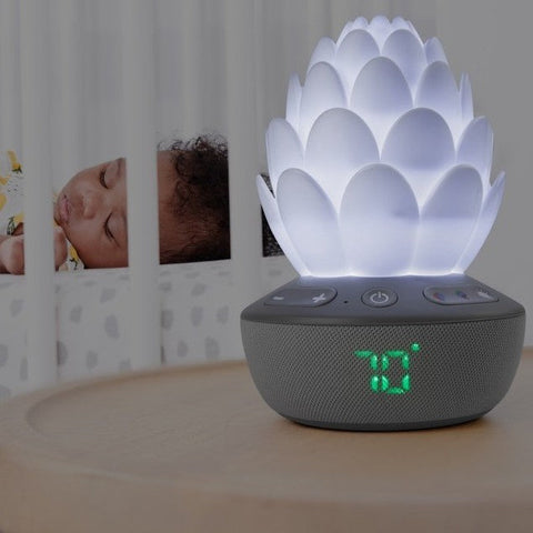 Sleep Support