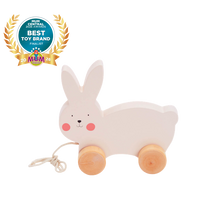 Load image into Gallery viewer, Bubble Wooden Rabbit Pull Along
