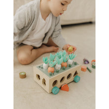 Load image into Gallery viewer, Bubble Wooden Vegetable Garden
