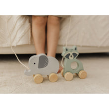 Load image into Gallery viewer, Bubble Wooden Raccoon Pull Along Toy
