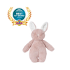 Bubble Lulabelle the Bunny