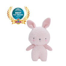 Load image into Gallery viewer, Bubble Bella the Bunny
