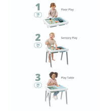 Load image into Gallery viewer, Skip Hop Discoverosity 3-in-1 Sensory Table
