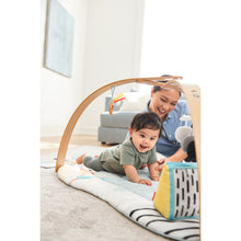 Load image into Gallery viewer, Skip Hop Discoverosity Activity Gym
