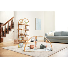 Load image into Gallery viewer, Skip Hop Discoverosity Activity Gym
