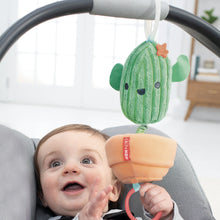 Load image into Gallery viewer, Skip Hop Farmstand Cactus Jitter Stroller Toy (2)
